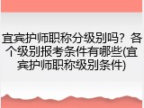 宜宾护师职称分级别吗？各个级别报考条件有哪些(宜宾护师职称级别条件)