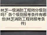 林芝一级消防工程师分级别吗？各个级别报考条件有哪些(林芝消防工程师报考条件)