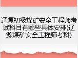 辽源初级煤矿安全工程师考试科目有哪些具体安排(辽源煤矿安全工程师考科)