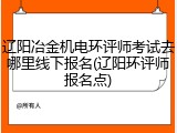 辽阳冶金机电环评师考试去哪里线下报名(辽阳环评师报名点)