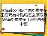滨海新区中级金属冶炼安全工程师有补贴吗怎么领取呢(滨海冶炼安全工程师补贴申领)