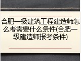 合肥一级建筑工程建造师怎么考需要什么条件(合肥一级建造师报考条件)