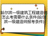 哈尔滨一级建筑工程建造师怎么考需要什么条件(哈尔滨一级建造师报考条件)