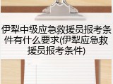 伊犁中级应急救援员报考条件有什么要求(伊犁应急救援员报考条件)