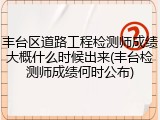 丰台区道路工程检测师成绩大概什么时候出来(丰台检测师成绩何时公布)