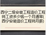 西宁二级安装工程造价工程师工资多少钱一个月通常(西宁安装造价工程师月薪)