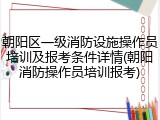 朝阳区一级消防设施操作员培训及报考条件详情(朝阳消防操作员培训报考)