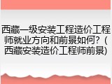 西藏一级安装工程造价工程师就业方向和前景如何？(西藏安装造价工程师前景)