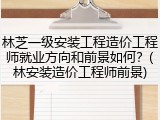 林芝一级安装工程造价工程师就业方向和前景如何？(林安装造价工程师前景)