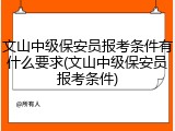文山中级保安员报考条件有什么要求(文山中级保安员报考条件)