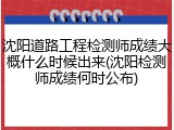 沈阳道路工程检测师成绩大概什么时候出来(沈阳检测师成绩何时公布)