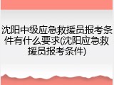 沈阳中级应急救援员报考条件有什么要求(沈阳应急救援员报考条件)