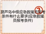 葫芦岛中级应急救援员报考条件有什么要求(应急救援员报考条件)