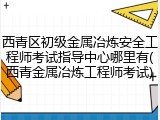 西青区初级金属冶炼安全工程师考试指导中心哪里有(西青金属冶炼工程师考试)