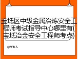 宝坻区中级金属冶炼安全工程师考试指导中心哪里有(宝坻冶金安全工程师考点)