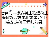 七台河一级安装工程造价工程师就业方向和前景如何？(安装造价工程师前景)