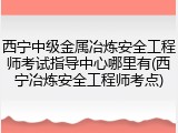 西宁中级金属冶炼安全工程师考试指导中心哪里有(西宁冶炼安全工程师考点)
