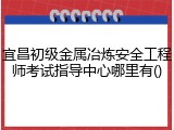 宜昌初级金属冶炼安全工程师考试指导中心哪里有()