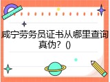 咸宁劳务员证书从哪里查询真伪？()