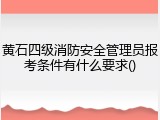 黄石四级消防安全管理员报考条件有什么要求()
