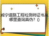 咸宁道路工程检测师证书从哪里查询真伪？()
