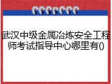 武汉中级金属冶炼安全工程师考试指导中心哪里有()