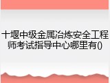 十堰中级金属冶炼安全工程师考试指导中心哪里有()