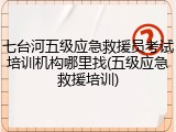 七台河五级应急救援员考试培训机构哪里找(五级应急救援培训)