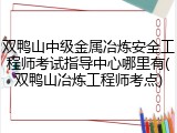 双鸭山中级金属冶炼安全工程师考试指导中心哪里有(双鸭山冶炼工程师考点)