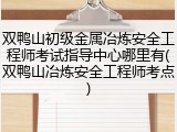 双鸭山初级金属冶炼安全工程师考试指导中心哪里有(双鸭山冶炼安全工程师考点)