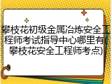 攀枝花初级金属冶炼安全工程师考试指导中心哪里有(攀枝花安全工程师考点)
