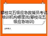 攀枝花五级应急救援员考试培训机构哪里找(攀枝花五级应急培训)