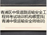 青浦区中级道路运输安全工程师考试培训机构哪里找(青浦中级运输安全师培训)