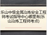 乐山中级金属冶炼安全工程师考试指导中心哪里有(乐山冶炼工程师考点)