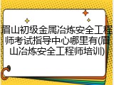 眉山初级金属冶炼安全工程师考试指导中心哪里有(眉山冶炼安全工程师培训)
