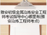 雅安初级金属冶炼安全工程师考试指导中心哪里有(雅安冶炼工程师考点)