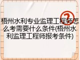 梧州水利专业监理工程师怎么考需要什么条件(梧州水利监理工程师报考条件)