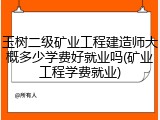 玉树二级矿业工程建造师大概多少学费好就业吗(矿业工程学费就业)