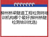 柳州桥梁隧道工程检测师培训机构哪个最好(柳州桥隧检测培训优选)