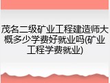 茂名二级矿业工程建造师大概多少学费好就业吗(矿业工程学费就业)