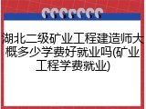 湖北二级矿业工程建造师大概多少学费好就业吗(矿业工程学费就业)