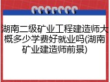 湖南二级矿业工程建造师大概多少学费好就业吗(湖南矿业建造师前景)
