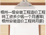 梧州一级安装工程造价工程师工资多少钱一个月通常(梧州安装造价工程师月薪)
