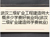武汉二级矿业工程建造师大概多少学费好就业吗(武汉二级矿业建造师学费就业)