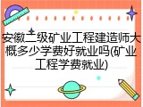 安徽二级矿业工程建造师大概多少学费好就业吗(矿业工程学费就业)