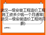 武汉一级安装工程造价工程师工资多少钱一个月通常(武汉一级安装造价工程师月薪)