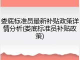 娄底标准员最新补贴政策详情分析(娄底标准员补贴政策)