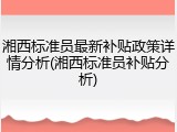 湘西标准员最新补贴政策详情分析(湘西标准员补贴分析)