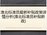 淮北标准员最新补贴政策详情分析(淮北标准员补贴新政)