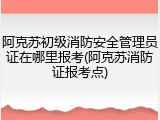 阿克苏初级消防安全管理员证在哪里报考(阿克苏消防证报考点)